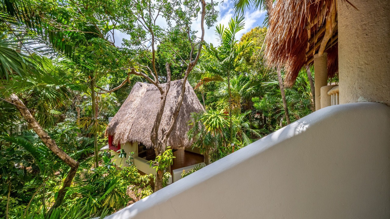 Photo of Outdoor in Gonzalo Guerrero
