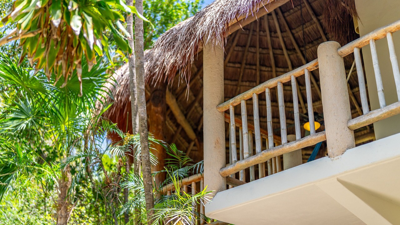 Photo of Outdoor in Gonzalo Guerrero
