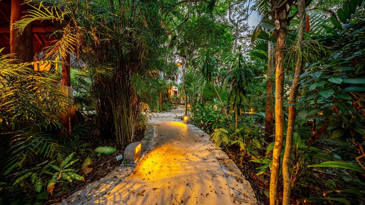 Photo of Outdoor in Gonzalo Guerrero