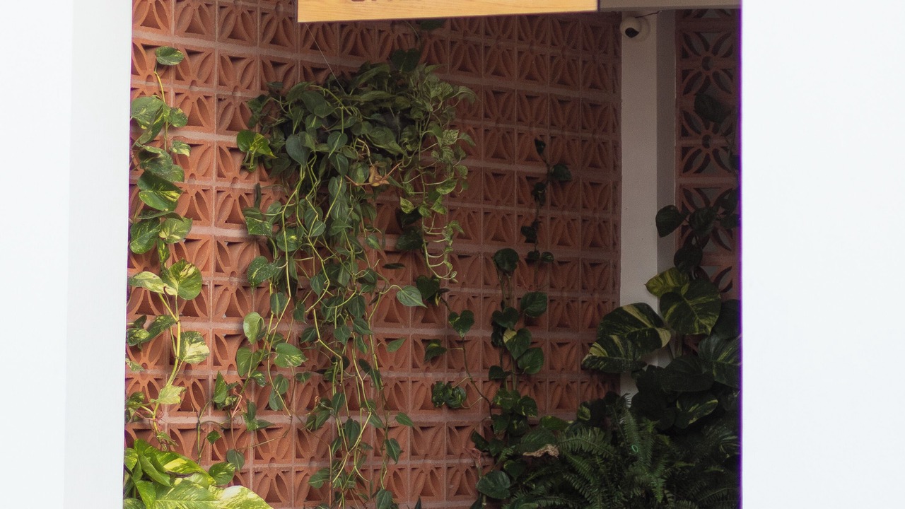 Photo of Outdoor in Barra de Colotepec