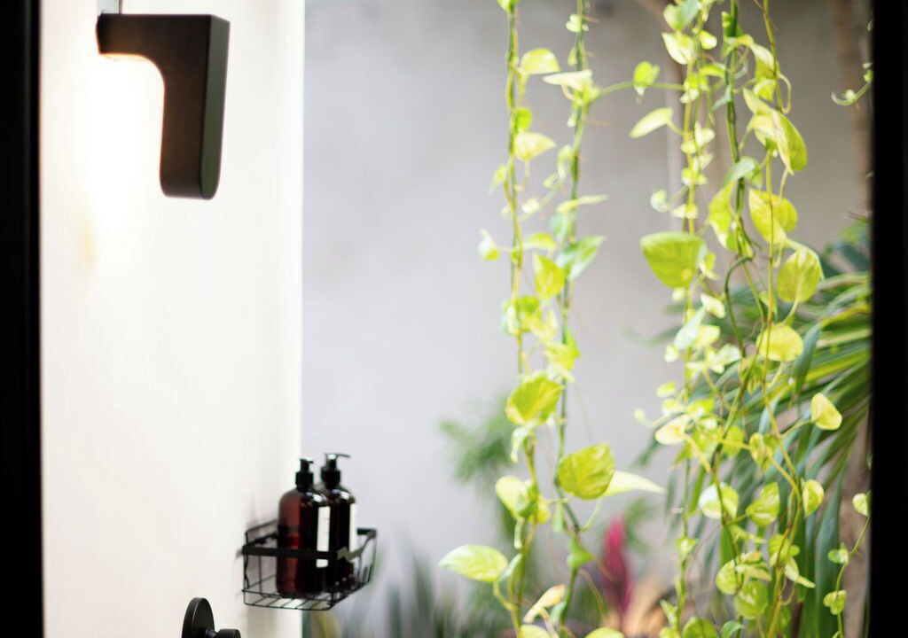 Photo of Outdoor in Ixtapa