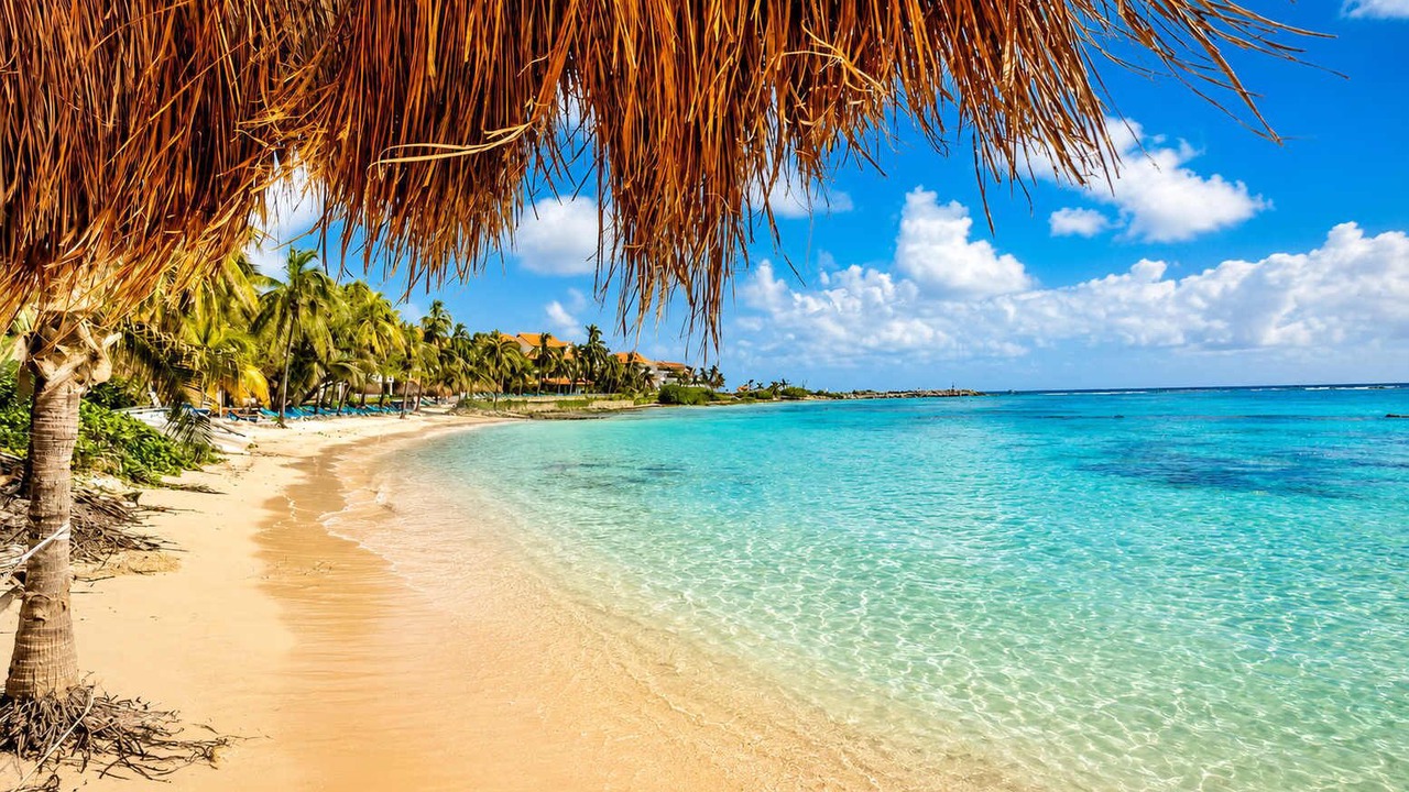 Photo of Others in Puerto Aventuras
