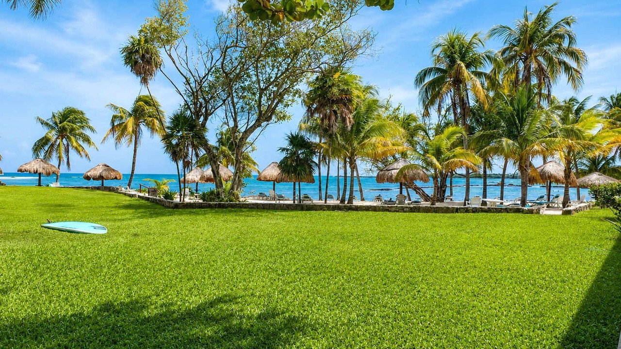 Photo of Others in Puerto Aventuras