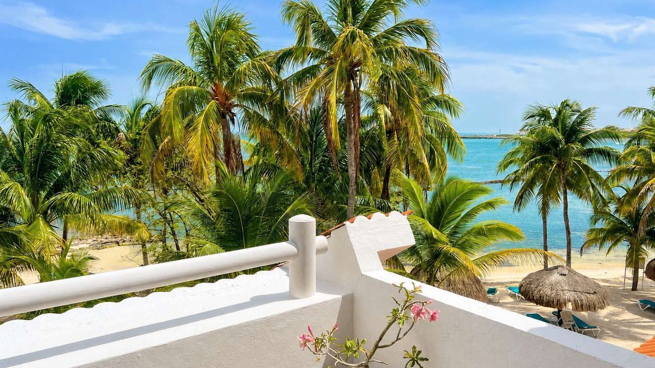 Photo of Others in Puerto Aventuras