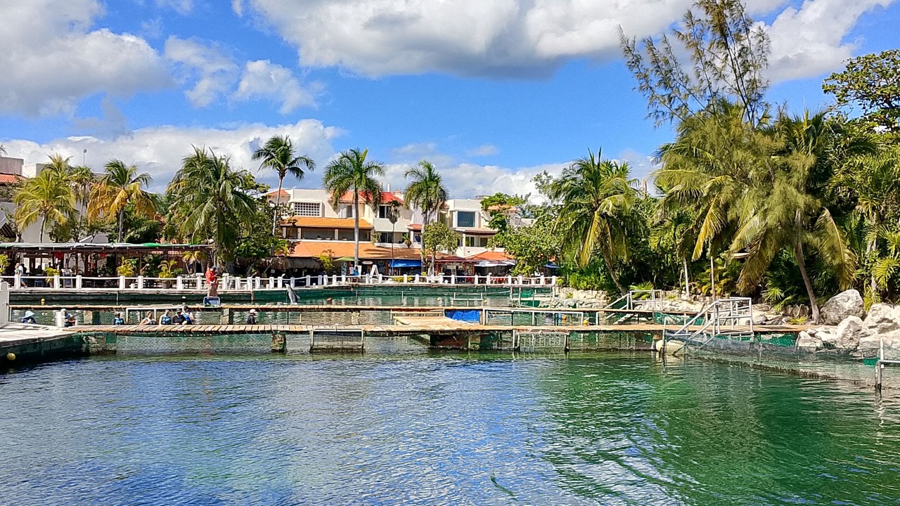 Photo of Others in Puerto Aventuras