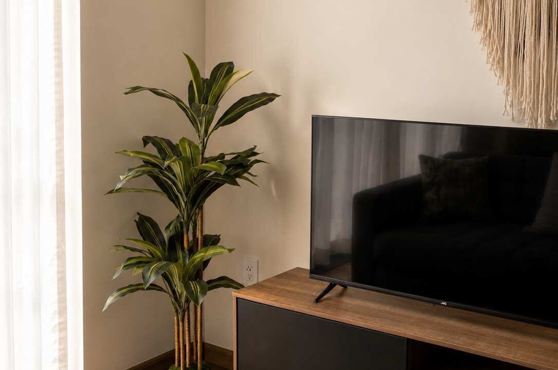 Photo of Livingroom in Reforma