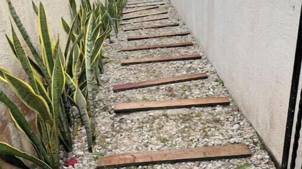 Photo of Outdoor in Chetumal