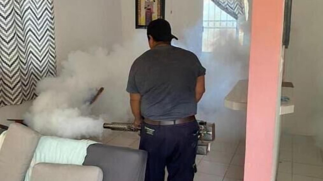 Photo of Others in Chetumal