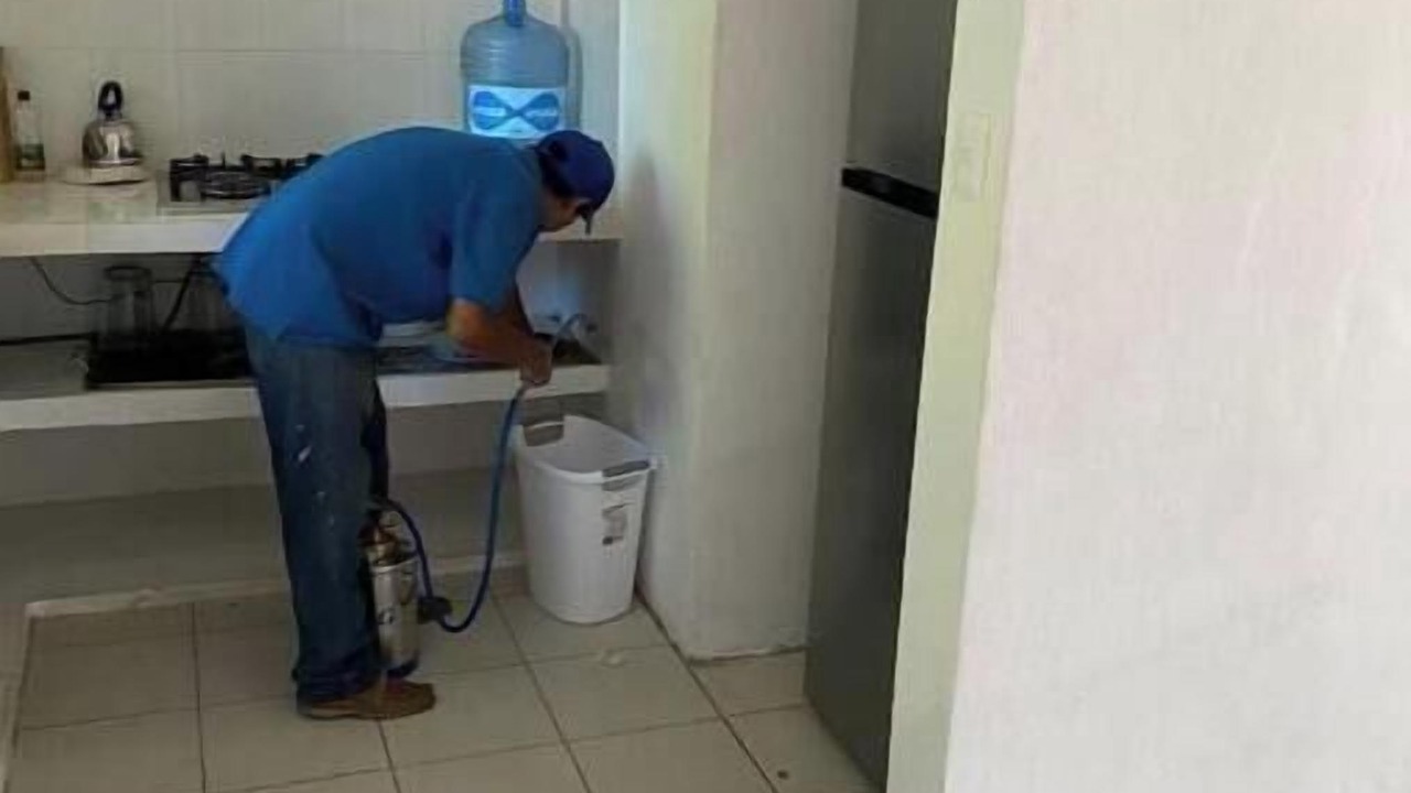 Photo of Others in Chetumal