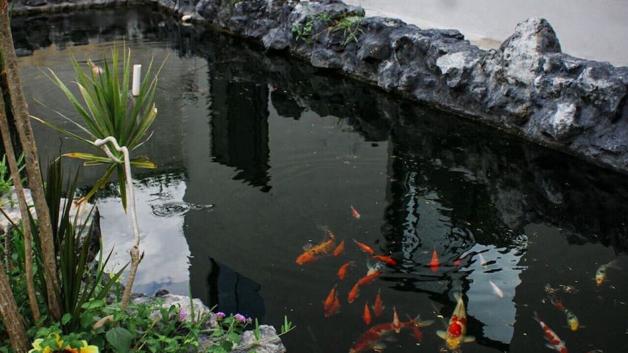 Photo of Outdoor in Merida