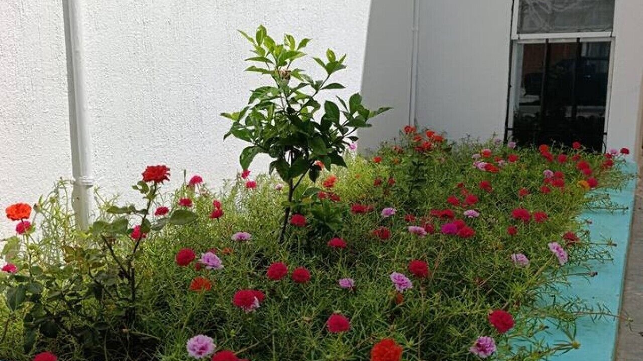 Photo of Outdoor in Merida Municipality