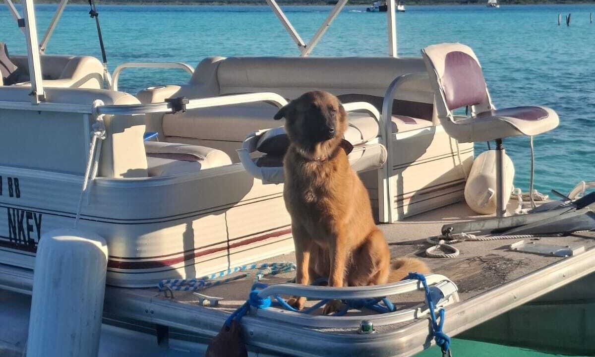 Photo of Others in Bacalar