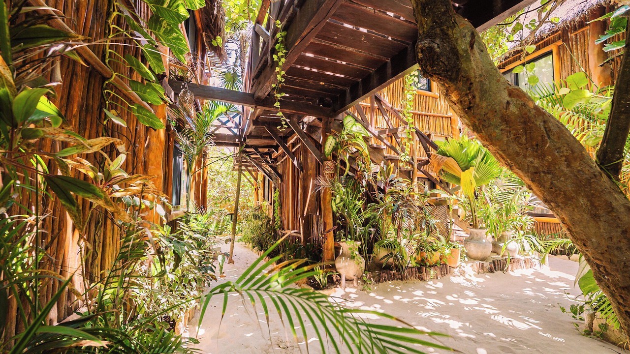 Photo of Outdoor in Zona Hotelera