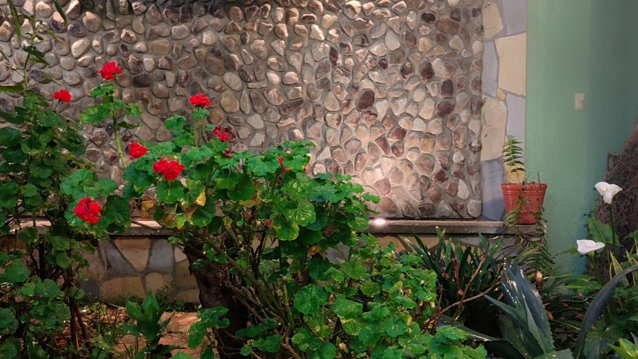 Photo of Outdoor in Ojo de Agua