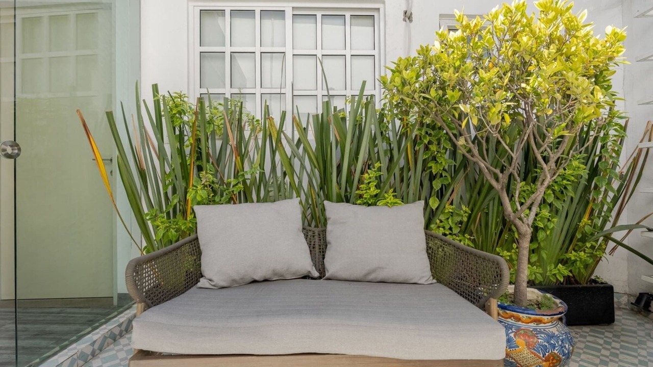 Photo of Outdoor in Del Carmen