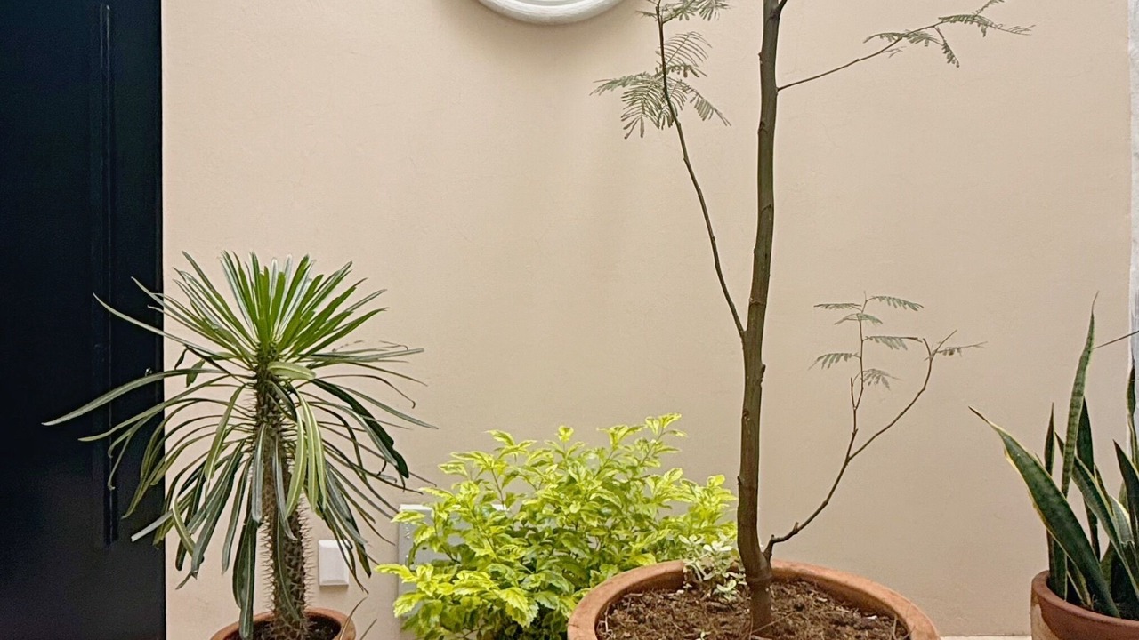 Photo of Outdoor in Santa Teresita