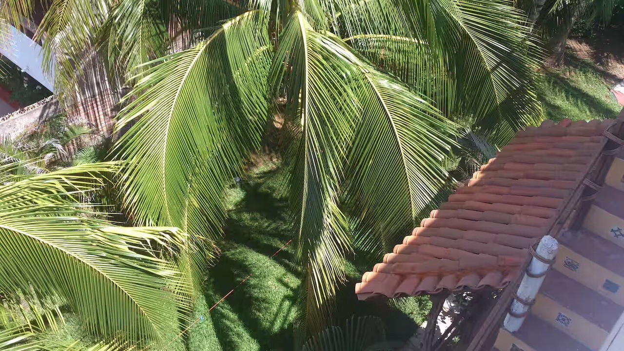Photo of Outdoor in Bacocho