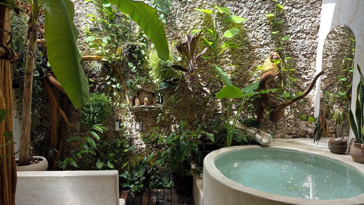 Photo of Others in Yucatan