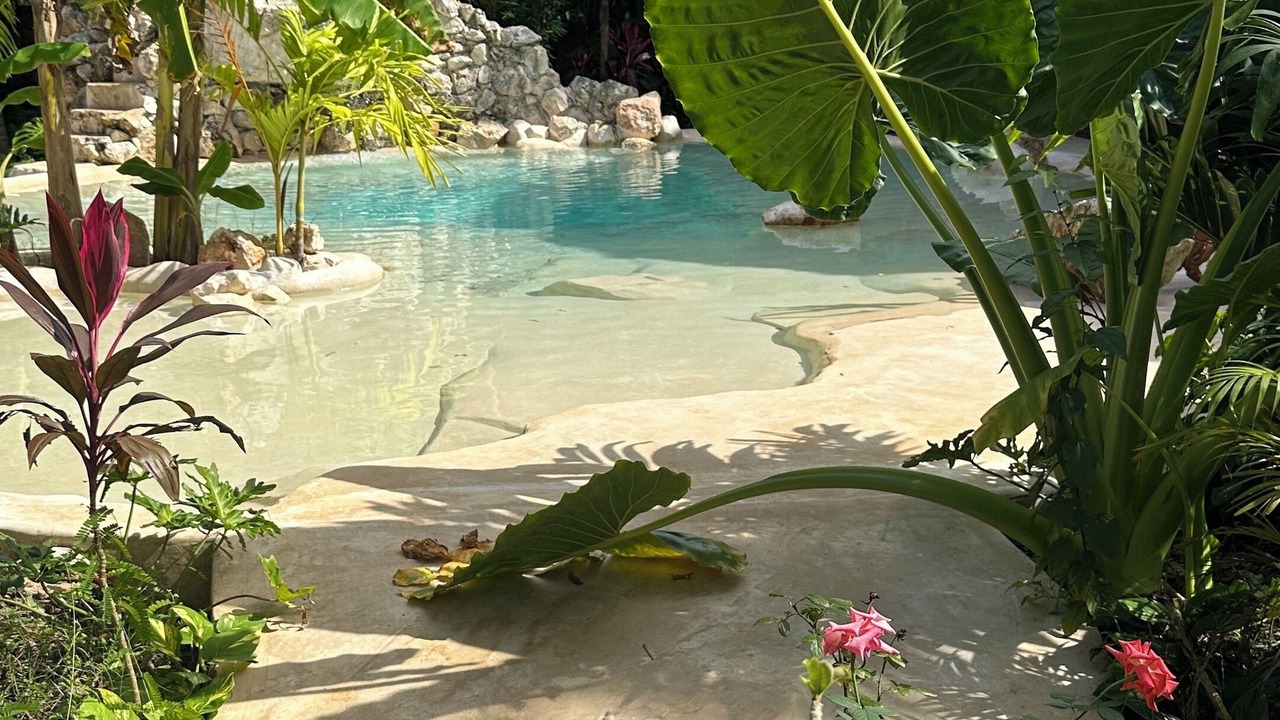 Photo of Outdoor in Yucatan