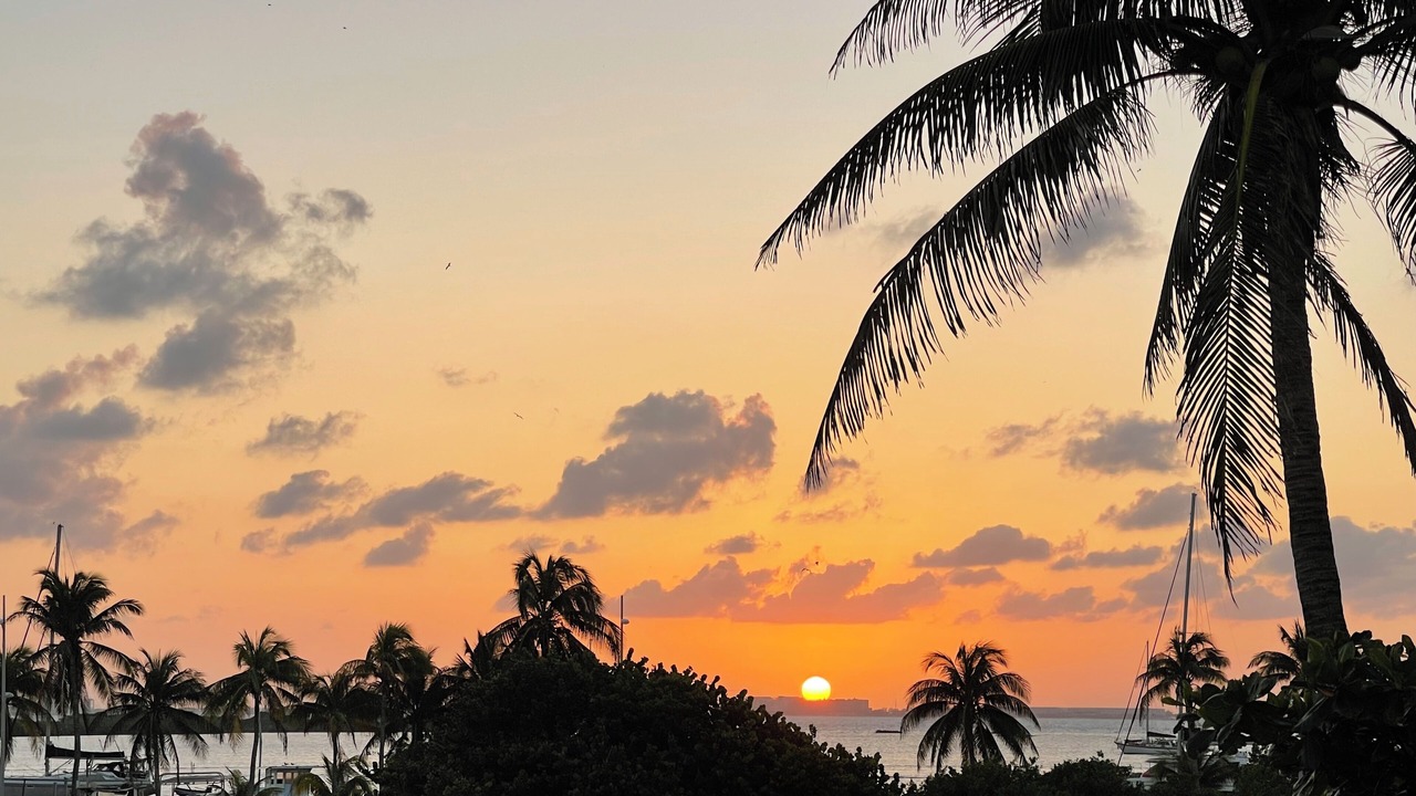Photo of Others in Isla Mujeres