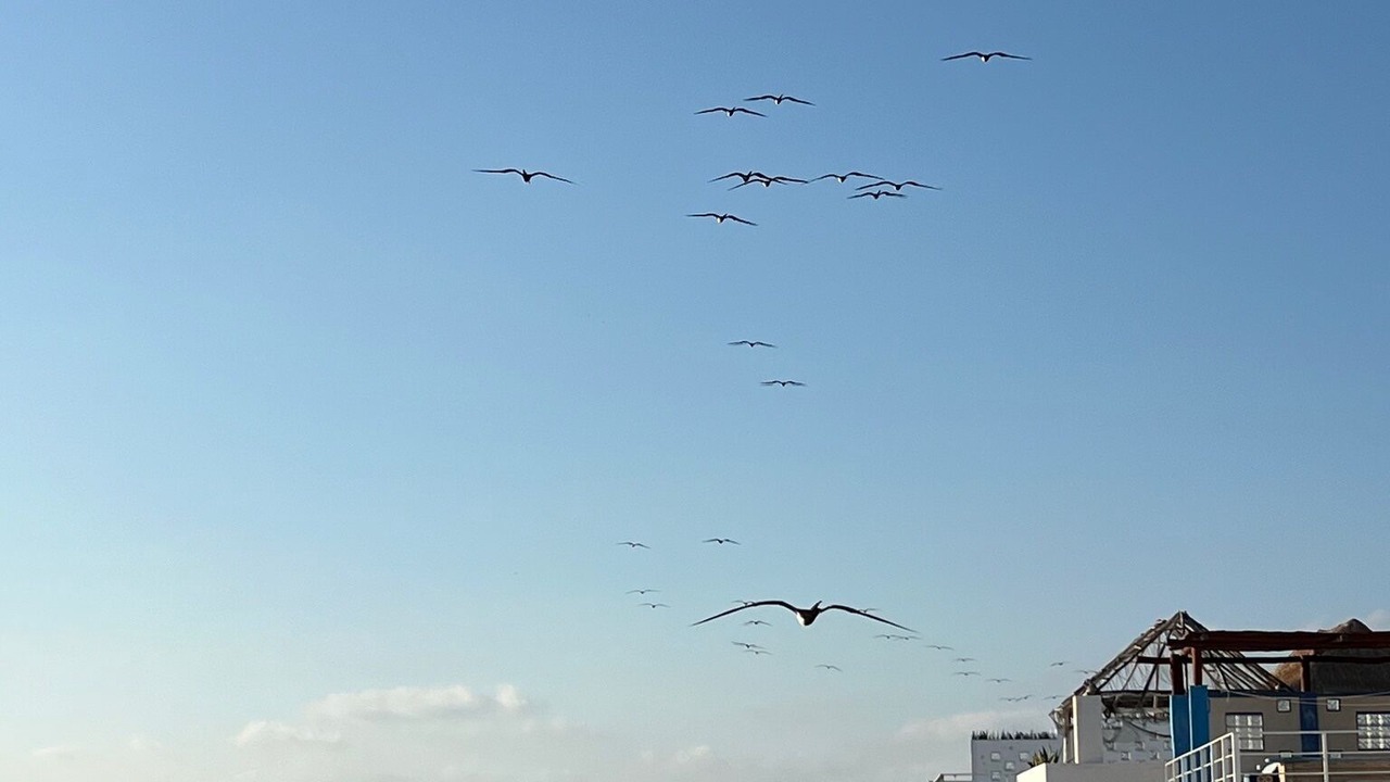 Photo of Others in Isla Mujeres