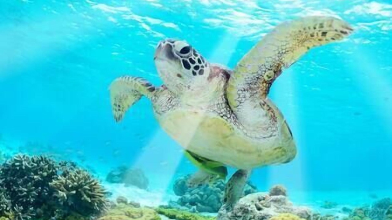 Photo of Others in Tulum