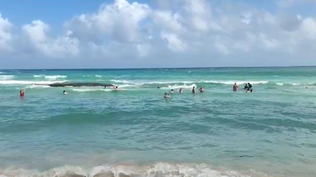 Photo of Others in Akumal