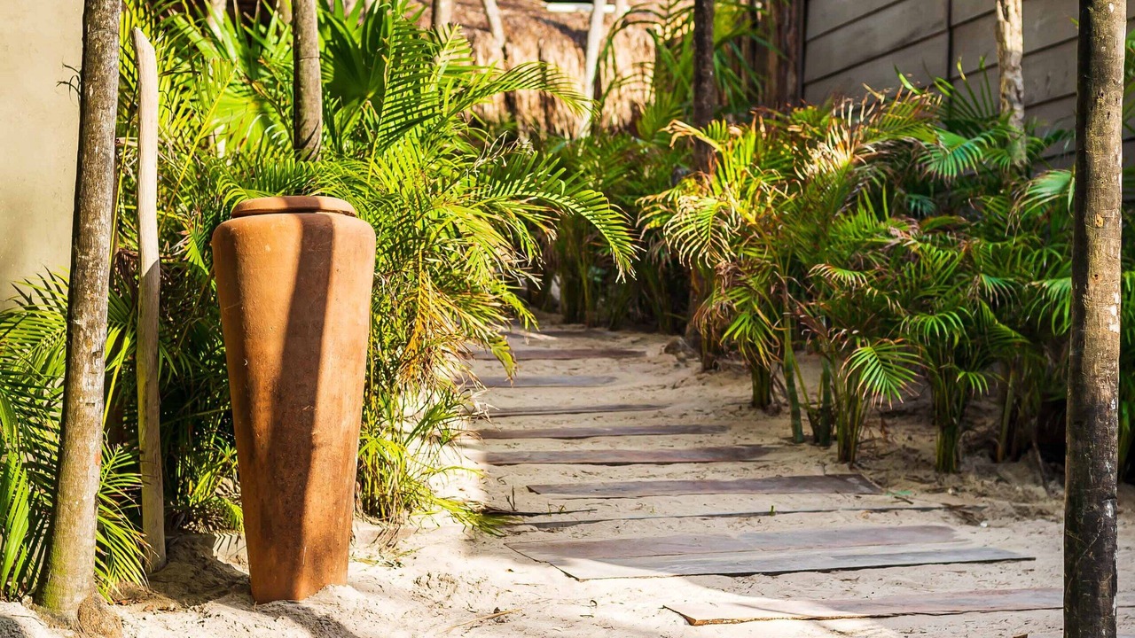 Photo of Outdoor in Zona Hotelera