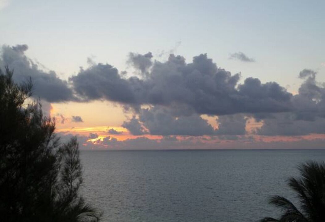 Photo of Others in Puerto Morelos