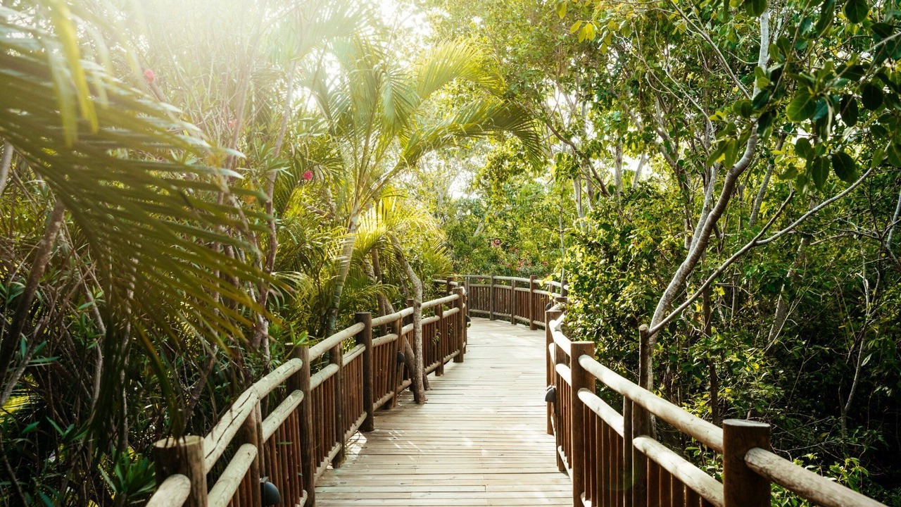 Photo of Outdoor in Villa Juarez