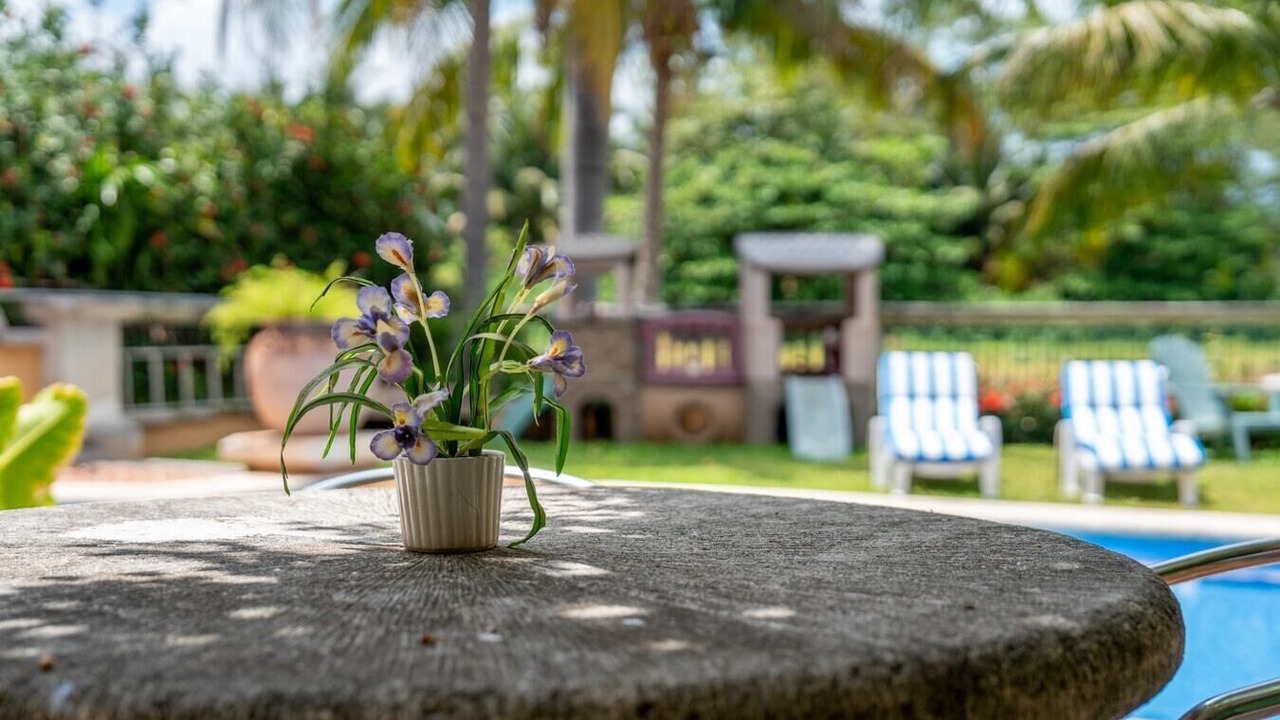Photo of Outdoor in Punta Cancun