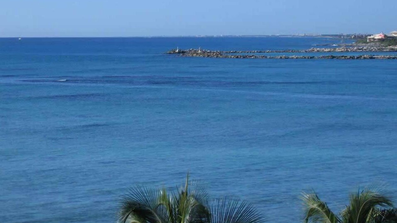 Photo of Others in Puerto Aventuras