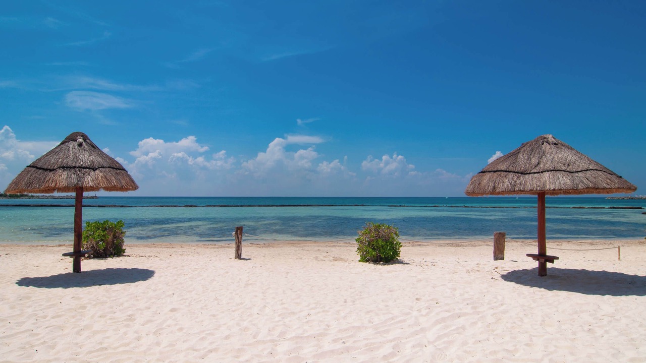 Photo of Others in Puerto Aventuras