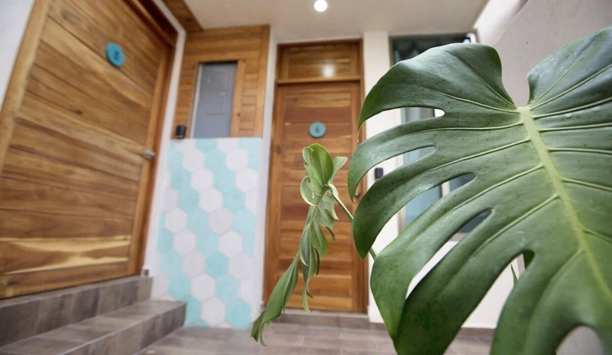 Photo of Outdoor in Downtown Cancun