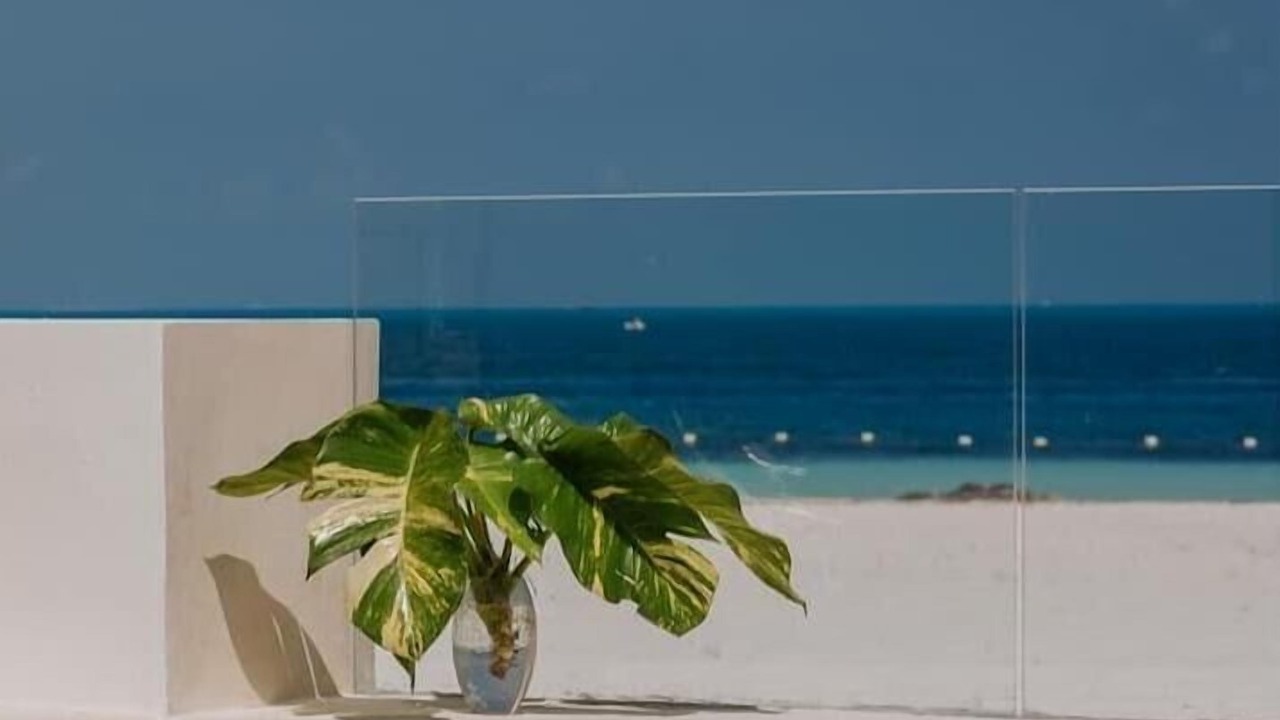 Photo of Outdoor in Punta Cancun