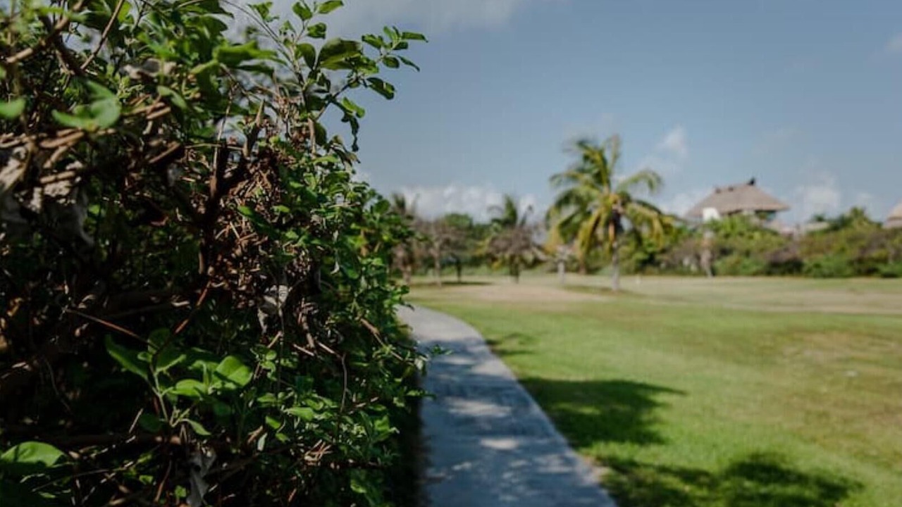 Photo of Outdoor in Punta Cancun
