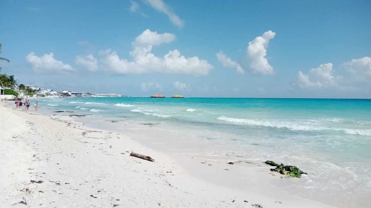 Photo of Others in Playacar