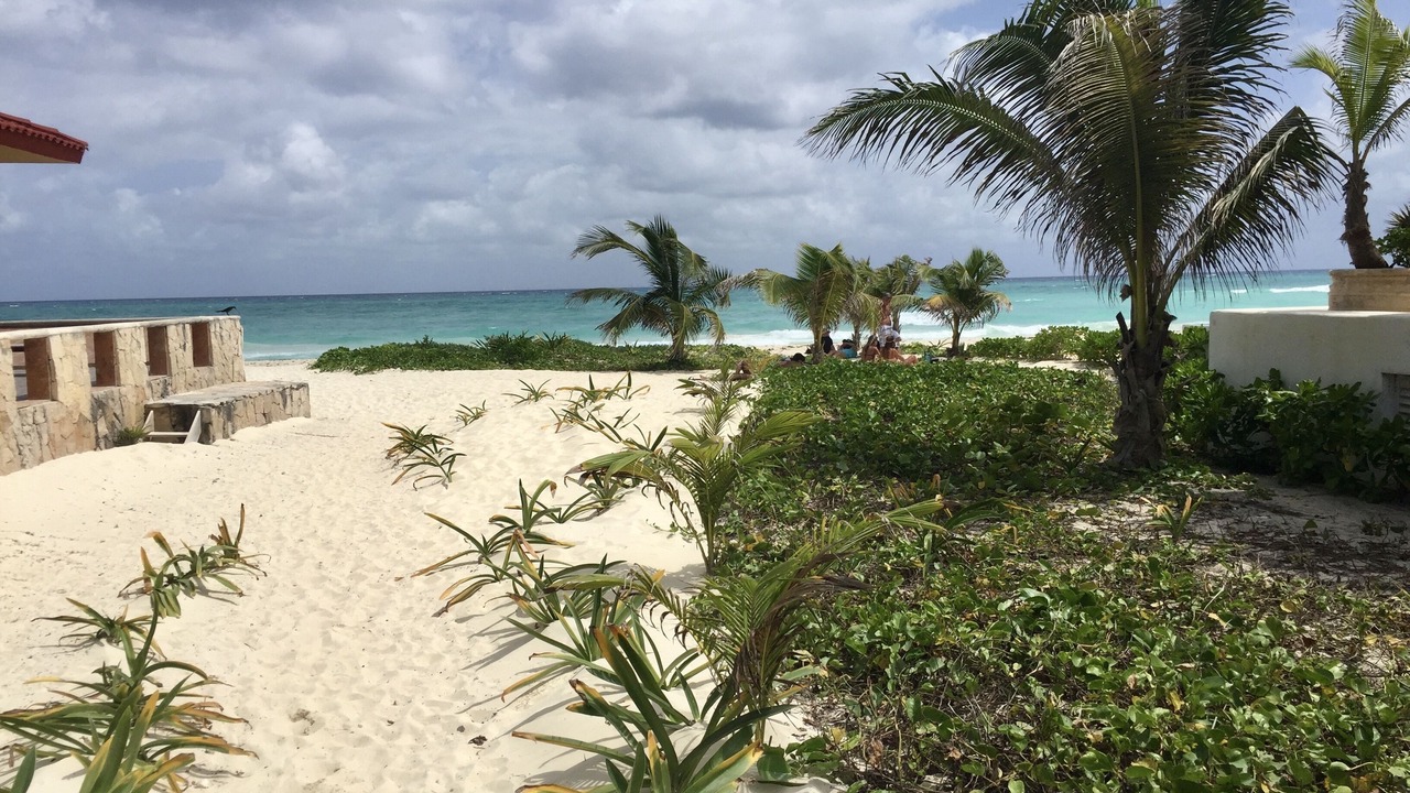 Photo of Others in Playacar