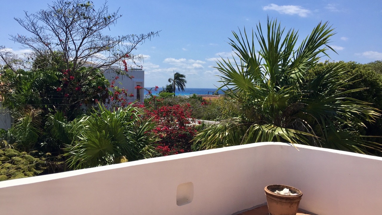 Photo of Outdoor in Playacar