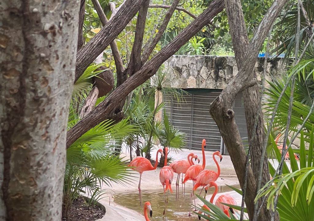 Photo of Outdoor in Villa Juarez