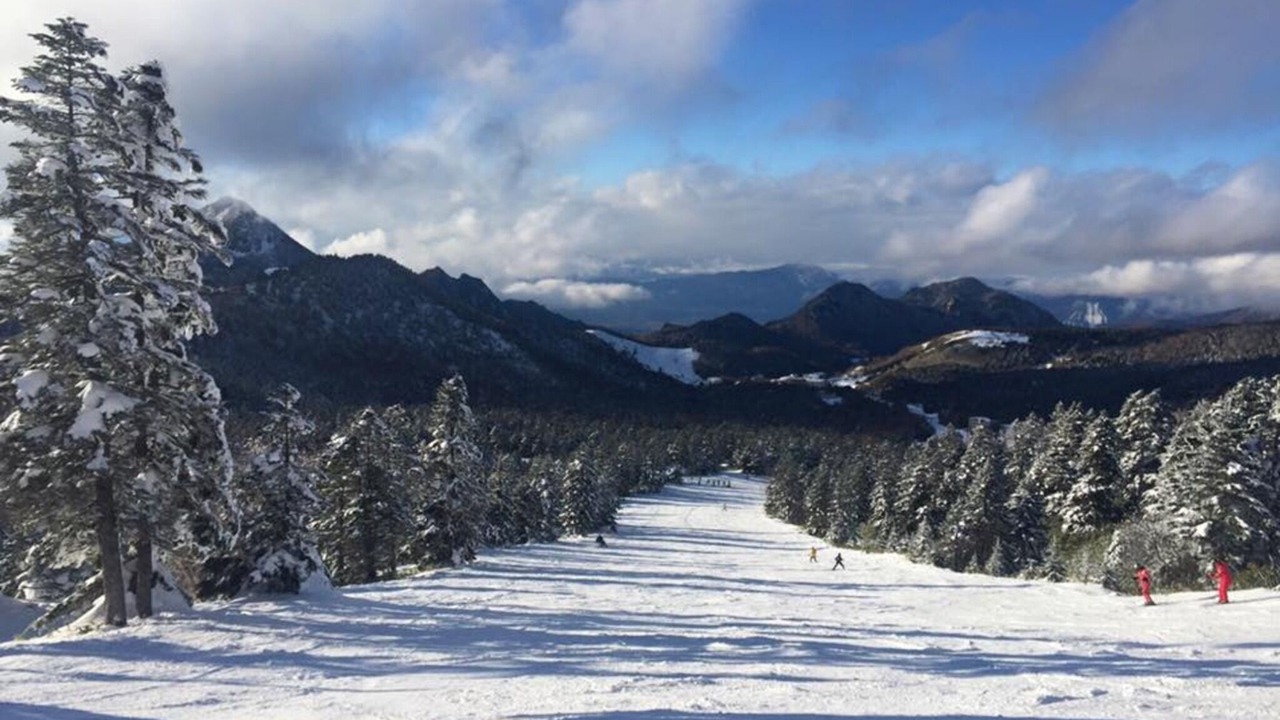 Photo of Others in Shiga Highlands