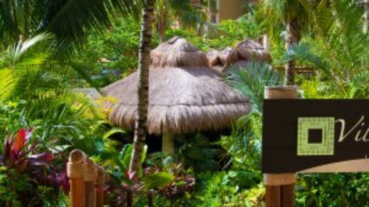 Photo of Outdoor in Playa Mujeres