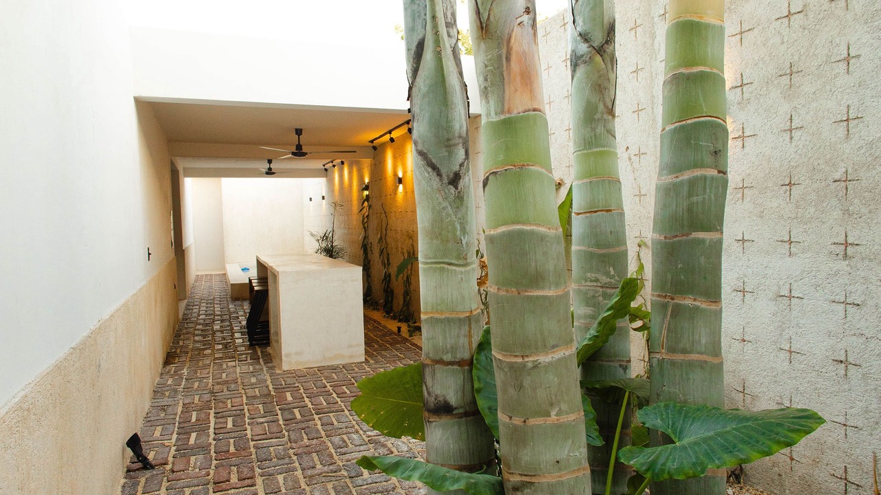 Photo of Outdoor in Centro