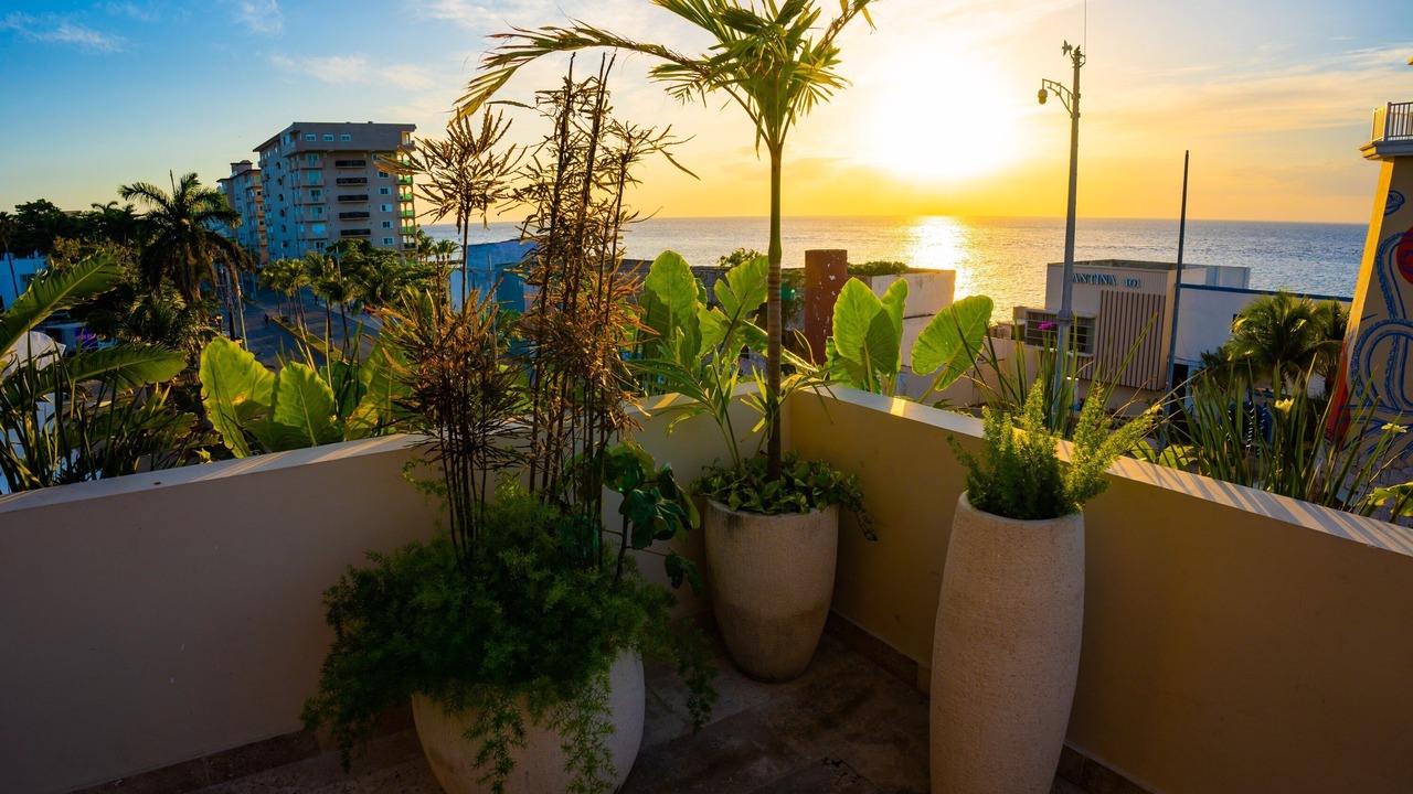 Photo of Outdoor in Colonia Centro
