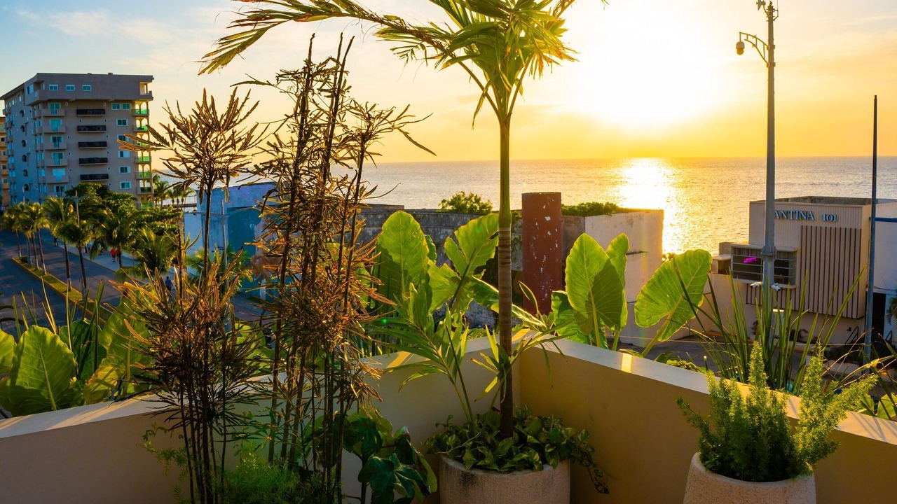 Photo of Outdoor in Colonia Centro