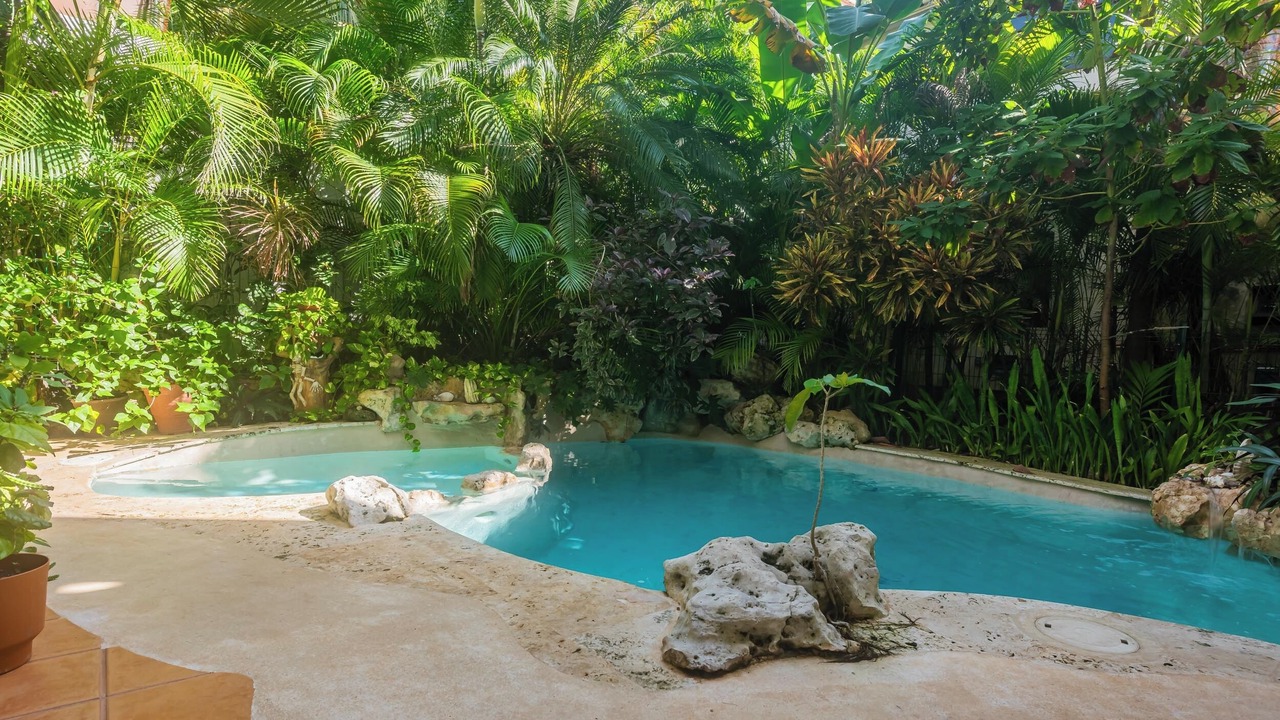 Photo of Outdoor in Playacar
