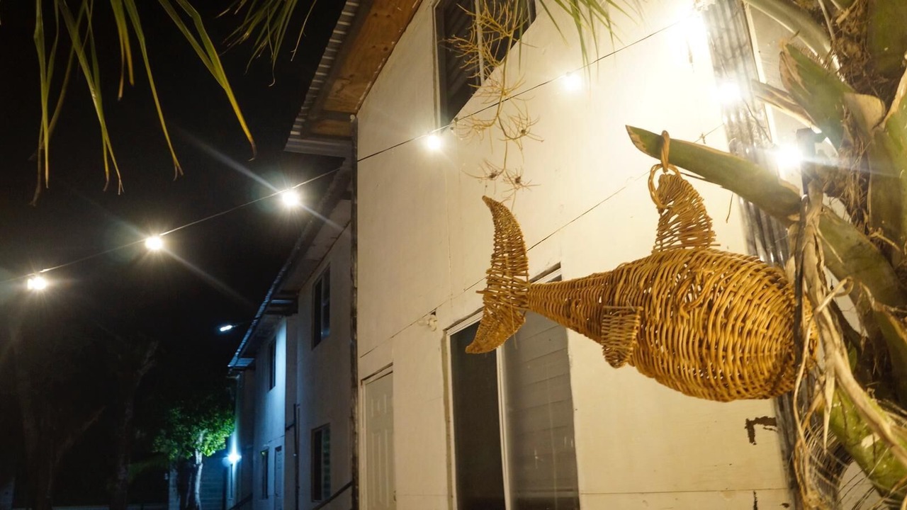 Photo of Others in Chetumal