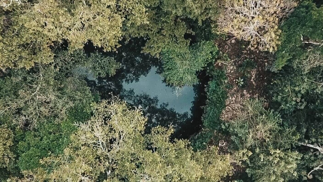 Photo of Outdoor in Santa Cruz