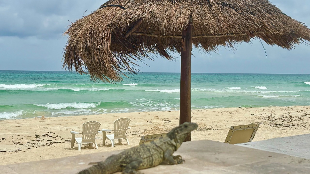 Photo of Others in Playa del Secreto