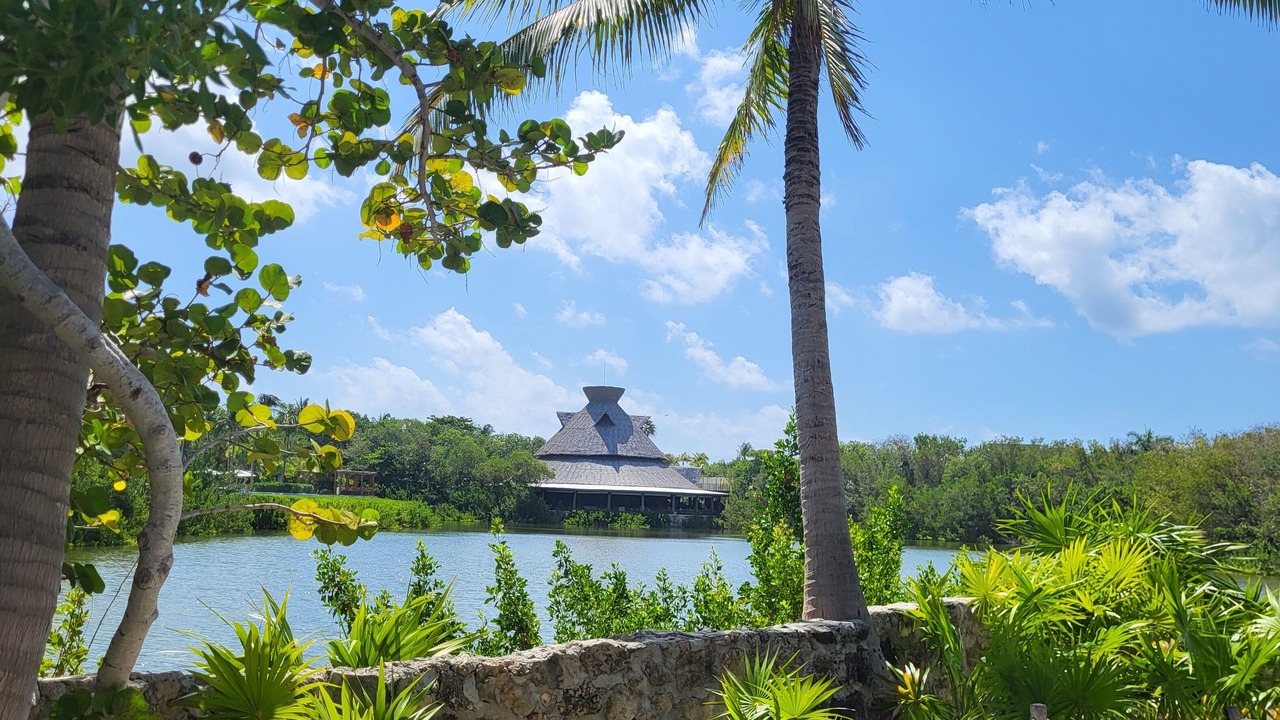 Photo of Outdoor in Gonzalo Guerrero